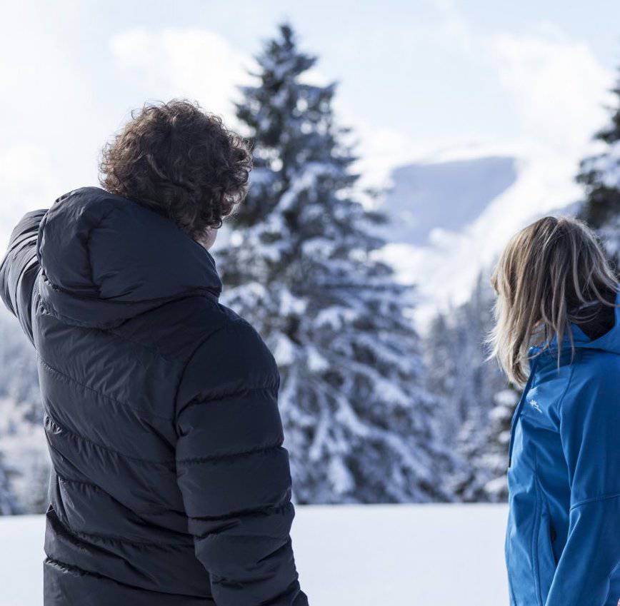 Schwarzwald Panorama