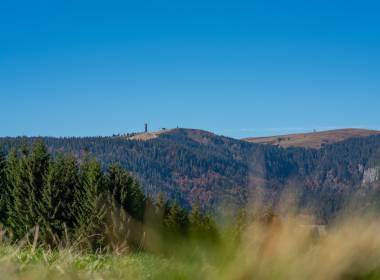 Landschaftsbild vom Feldberg-Bärental