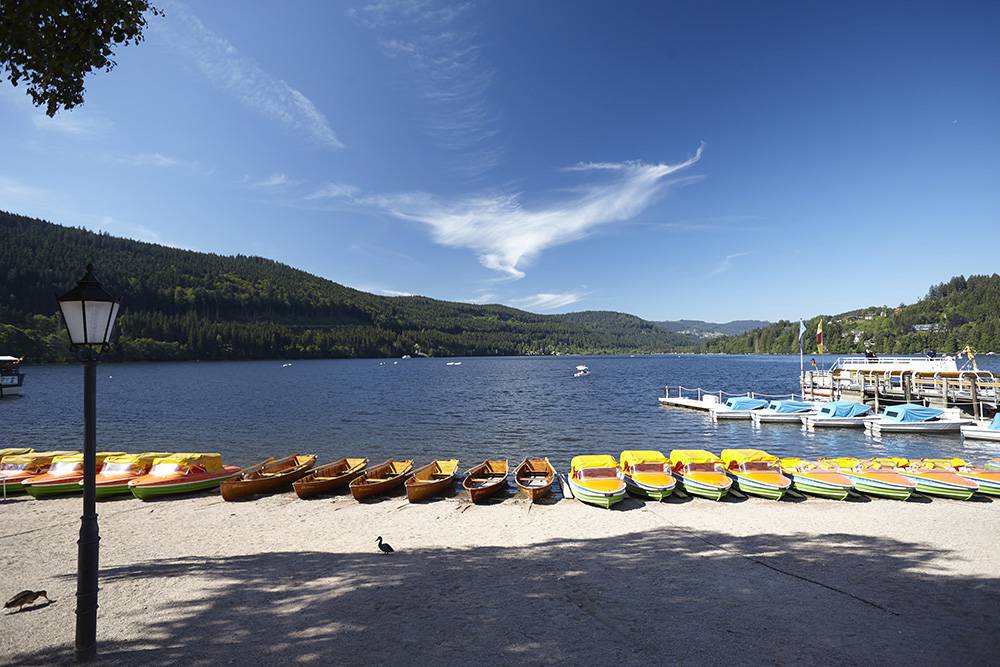 Feldsee Ruderboote