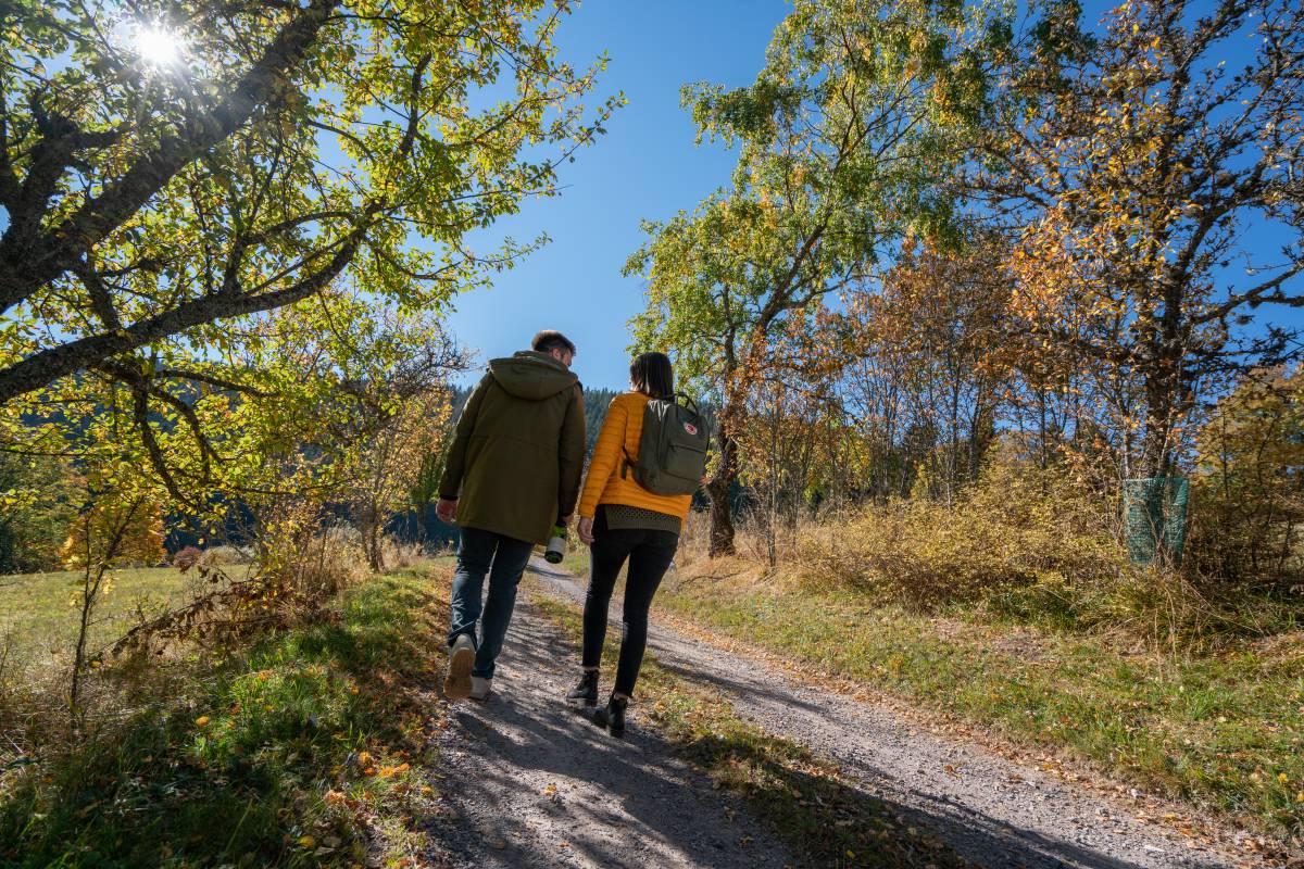 Wandern am Feldberg