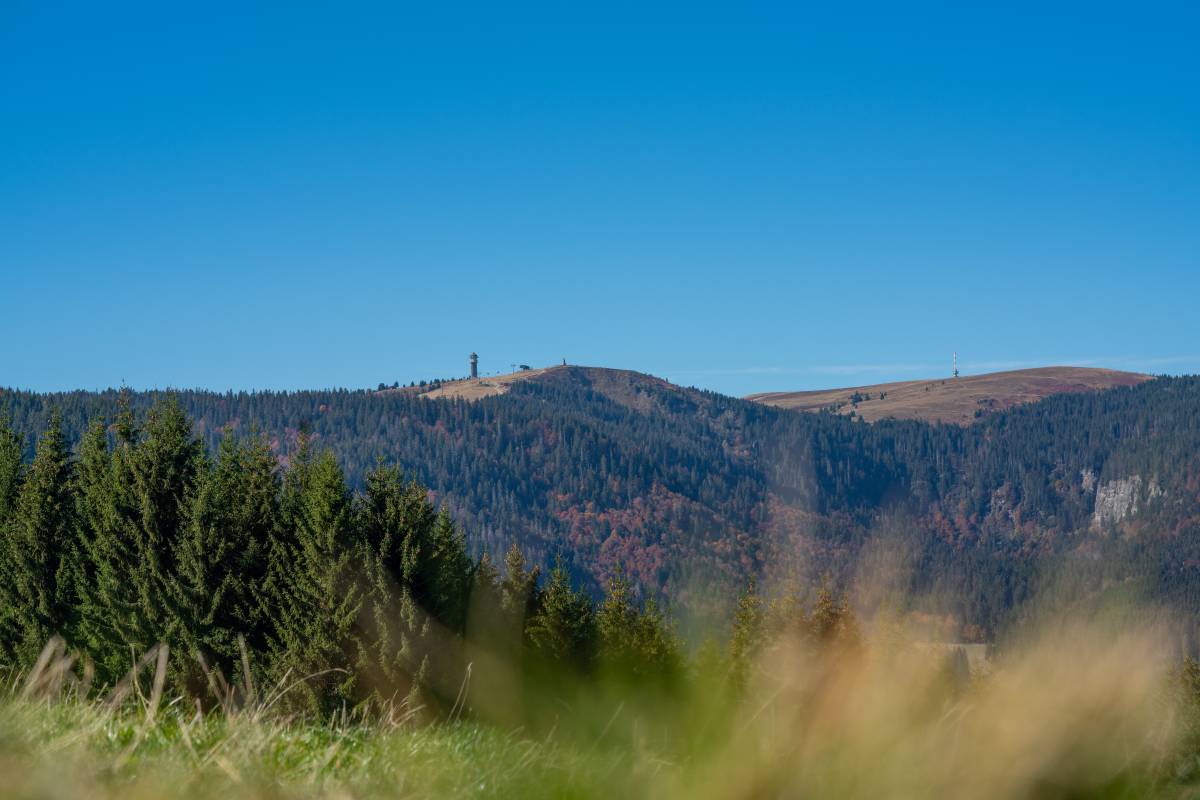 Der Feldberg im Schwarzwald