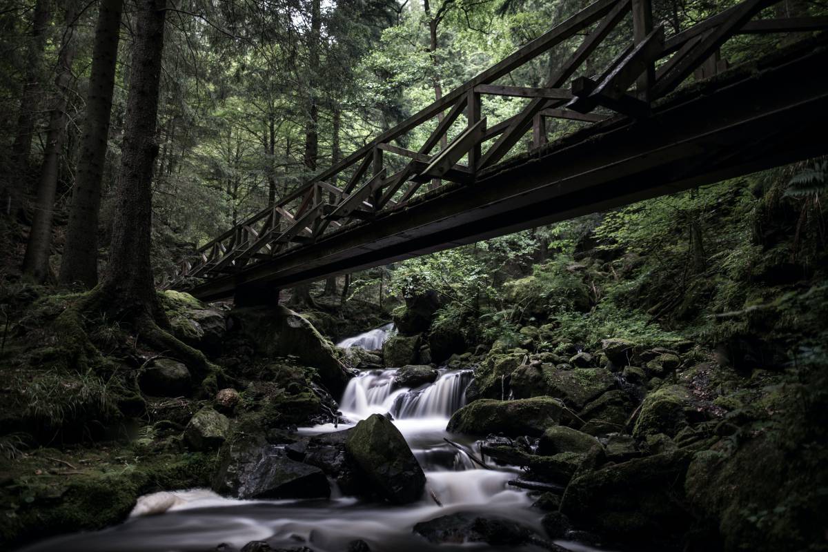 Schwarzwald Wasserfall