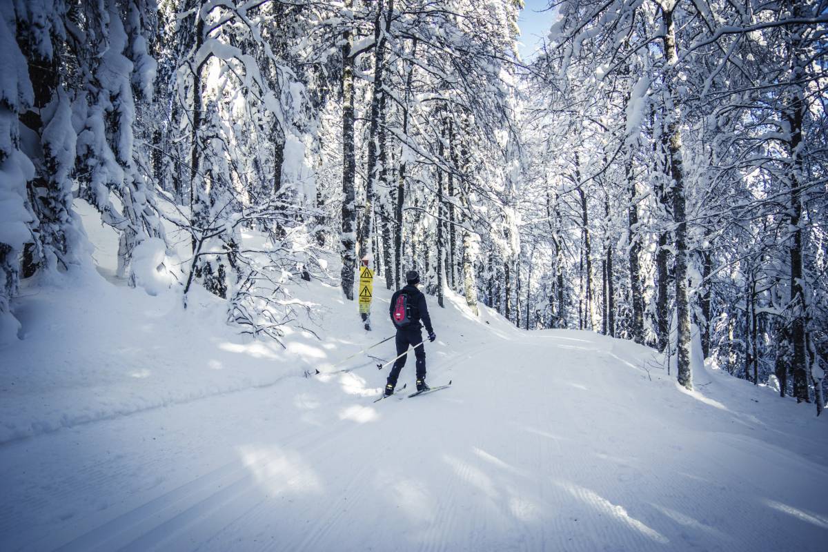 Langlaufen am Feldberg