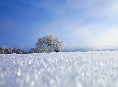 Verschneite Winterlandschaft am Feldberg