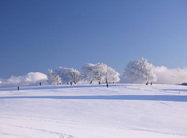 Verschneite Winterlandschaft am Feldberg