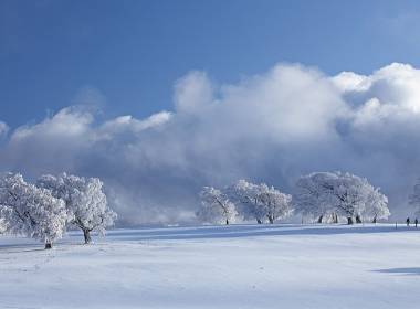 Verschneite Winterlandschaft am Feldberg