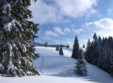 Verschneiter Feldberg