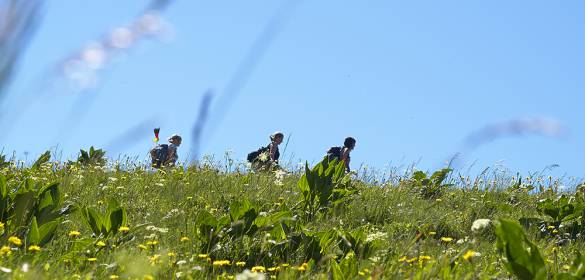 Wandern im Schwarzwald