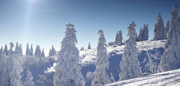 Verschneiter Feldberg