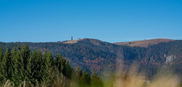 Landschaftsbild vom Feldberg-Bärental